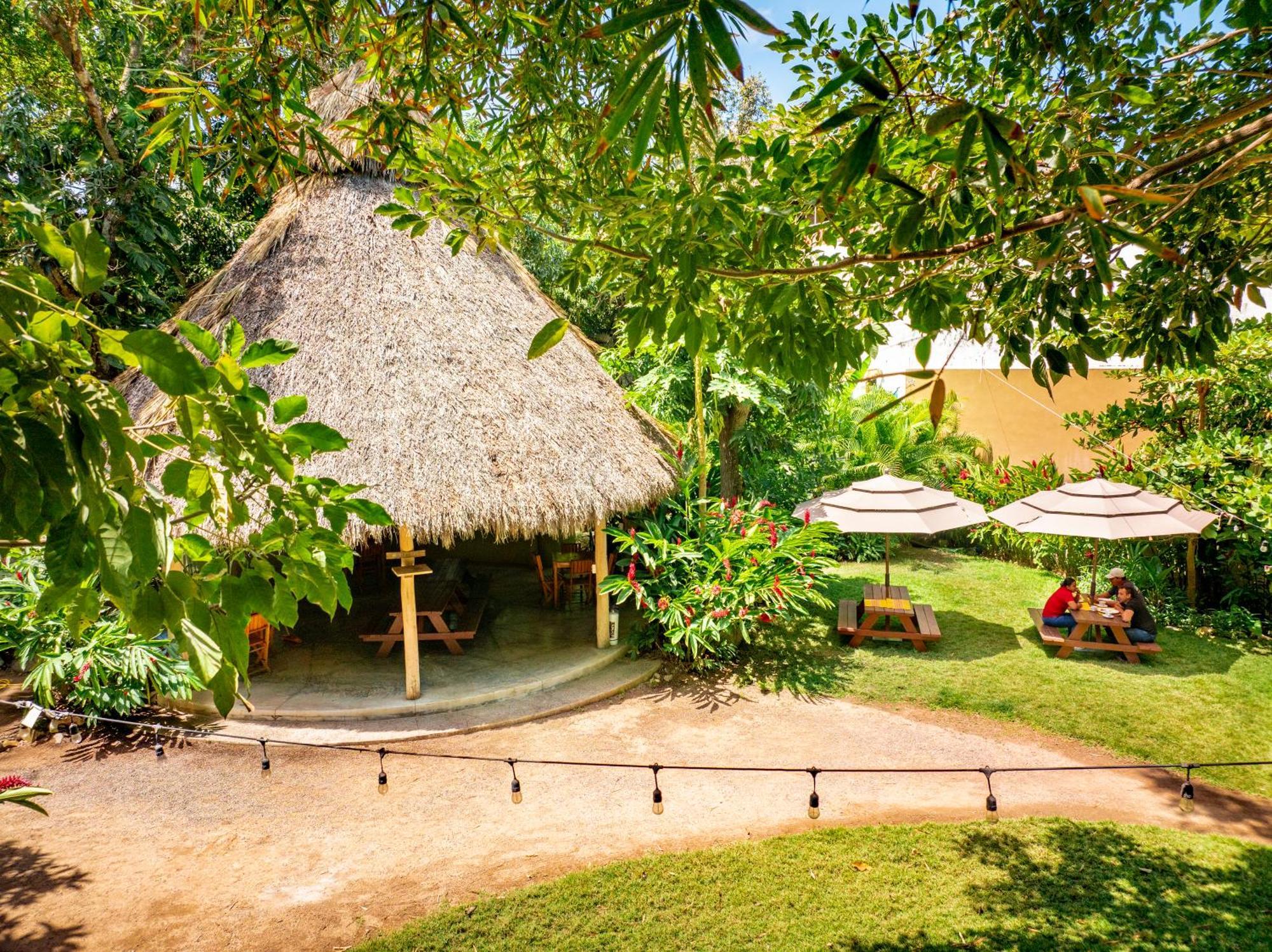 Hotel Villas Sayulita Bagian luar foto